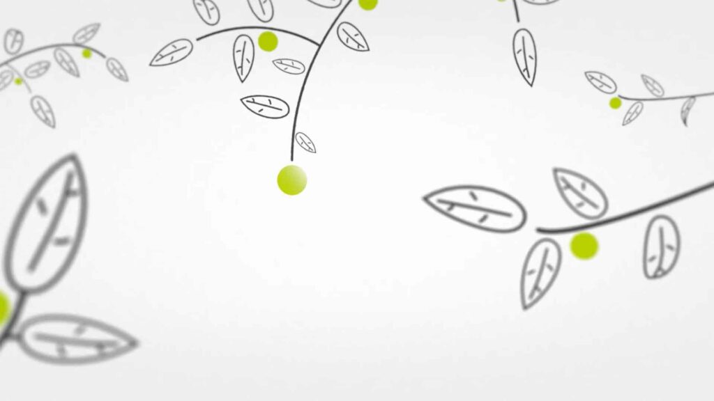 Jérémie Couteau motion design Marseille