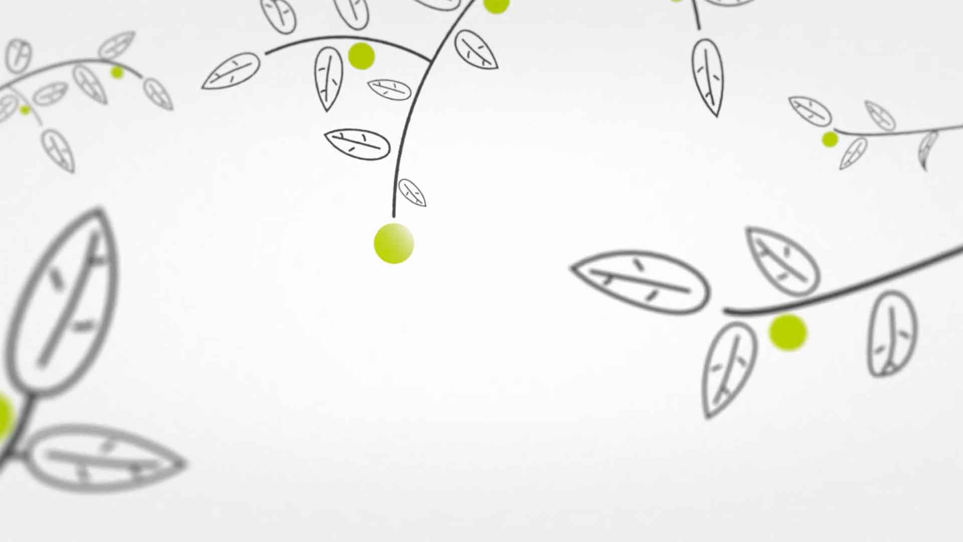 Jérémie Couteau motion design Marseille