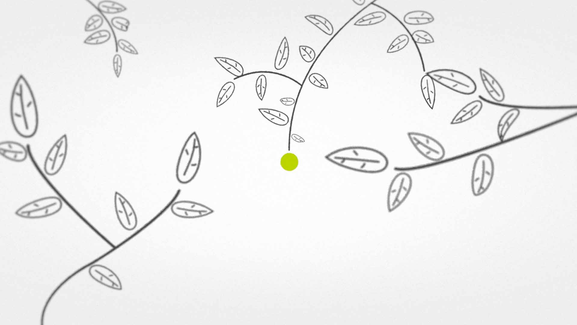 Jérémie Couteau motion design Marseille