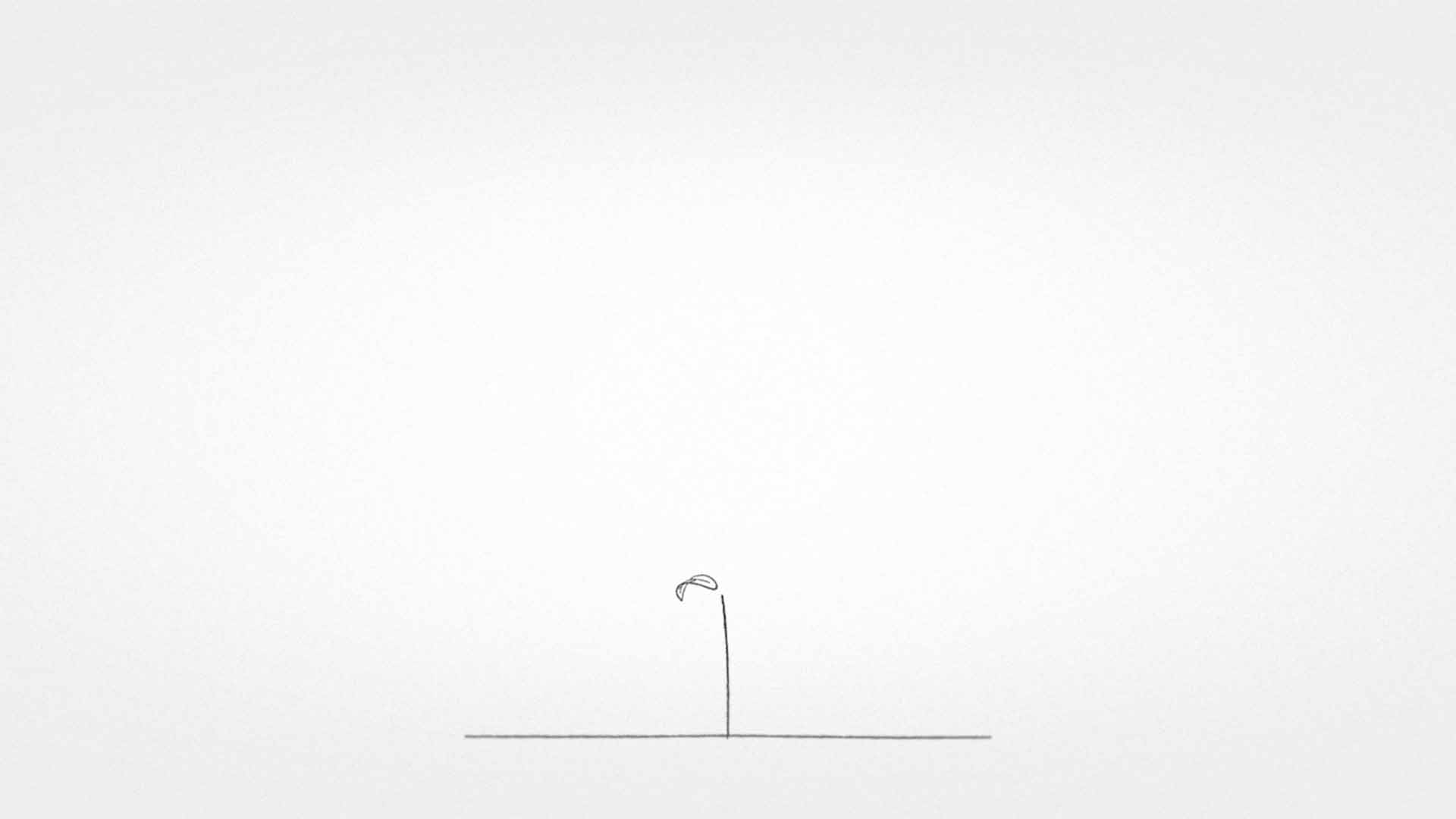 Jérémie Couteau motion design Marseille
