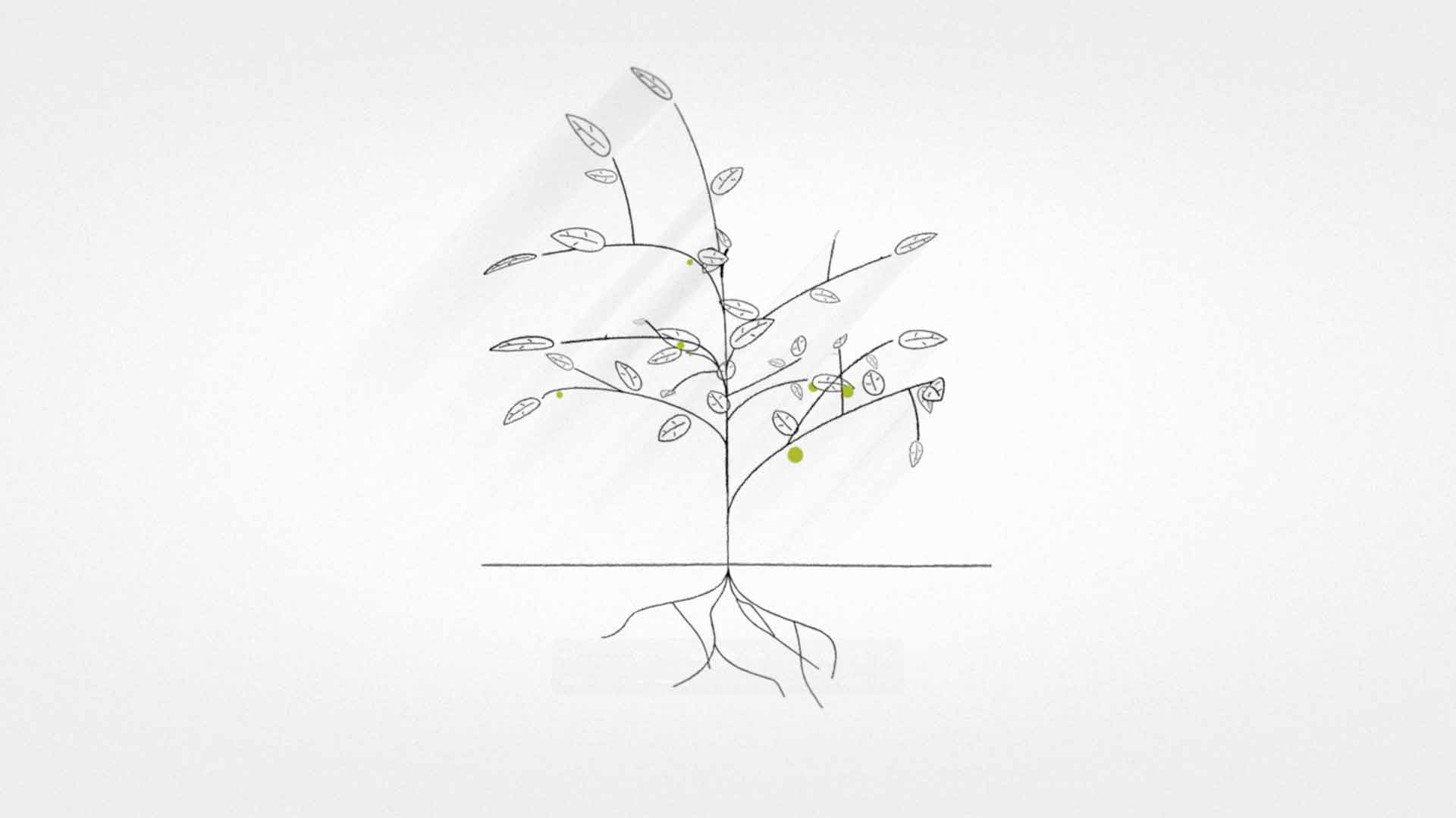 Jérémie Couteau motion design Marseille