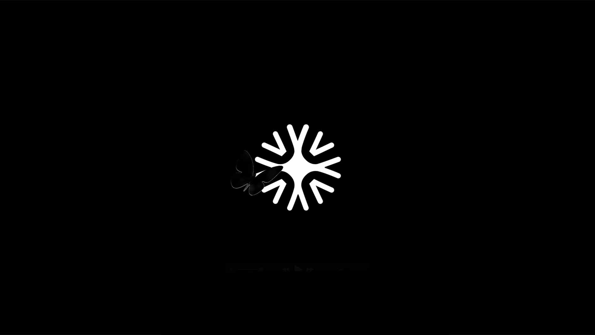 Jérémie Couteau motion design Marseille