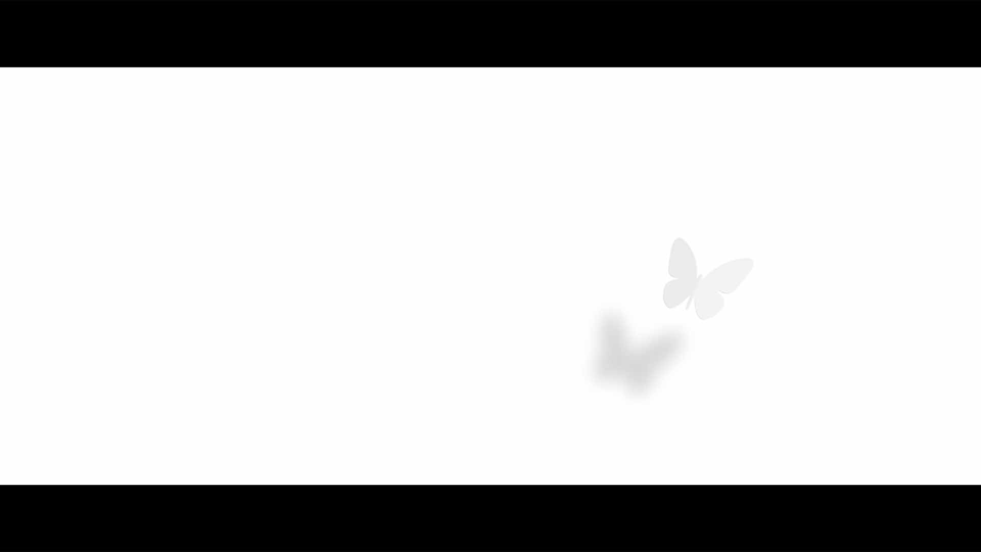 Jérémie Couteau motion design Marseille