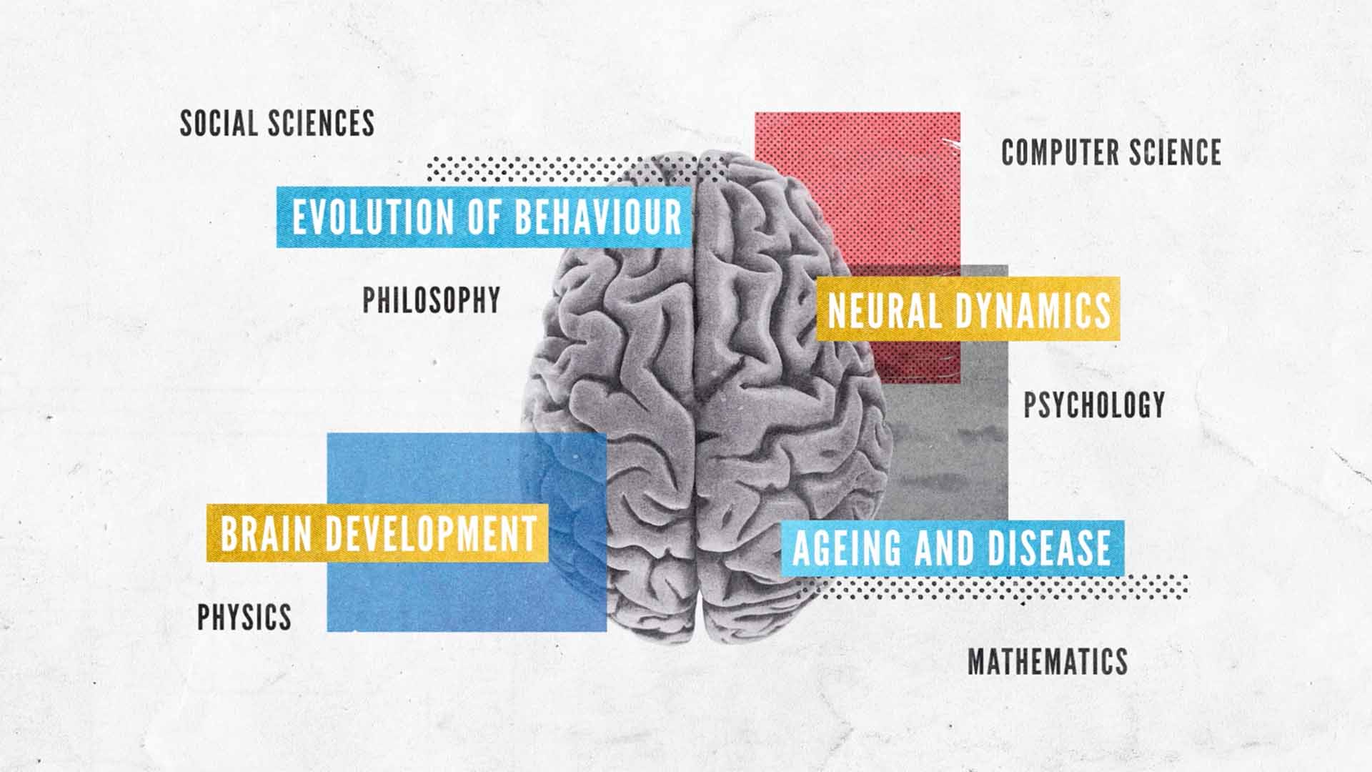 Jérémie Couteau motion design Marseille
