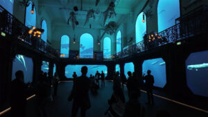 Jérémie Couteau motion design Marseille