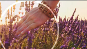 Jérémie Couteau motion design Marseille