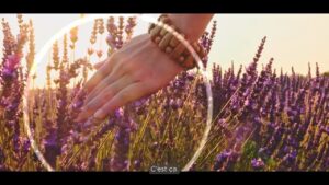 Jérémie Couteau motion design Marseille